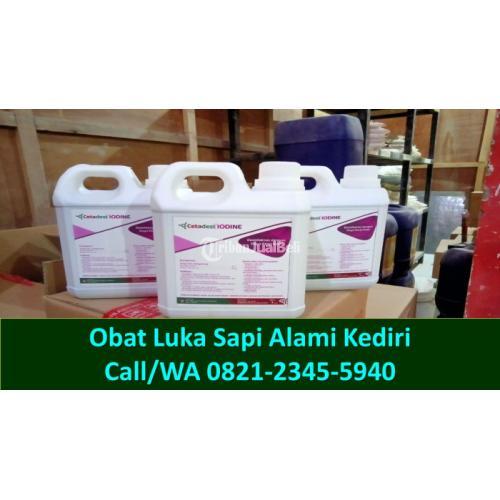 Obat Luka Sapi Pmk Tarokan Kediri