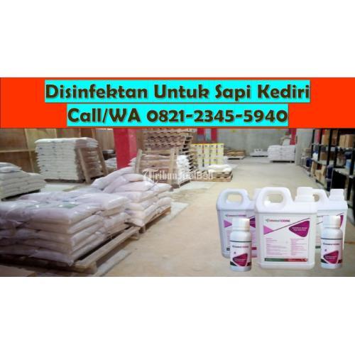 Obat Luka Ayam Alami Semen -  Kediri
