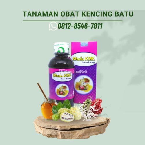 Tanaman Obat Kencing Batu Madu KMK - Bekasi