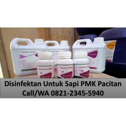 Obat Luka Sapi Alami Arjosari Pacitan