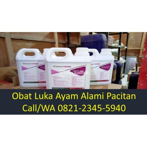 Obat Sapi Luka Berbelatung Bandar Pacitan
