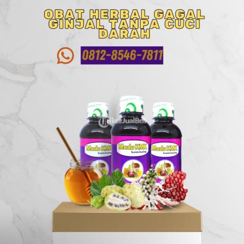 Obat Herbal Gagal Ginjal Tanpa Cuci Darah Madu KMK (0812-8546-7811)