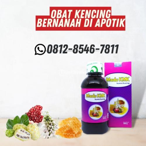 Obat Kencing Bernanah Di Apotik Madu KMK (0812-8546-7811)