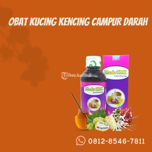 Obat Kucing Kencing Campur Darah Madu KMK (0812-8546-7811)