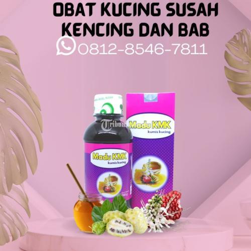 Obat Kucing Susah Kencing Dan Bab Madu KMK (0812-8546-7811)