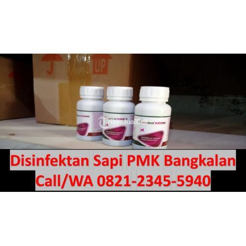 Desinfektan Alami Untuk Kandang Bangkalan