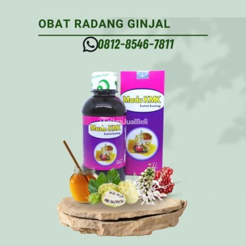 Obat Radang Ginjal Madu KMK (0812-8546-7811)