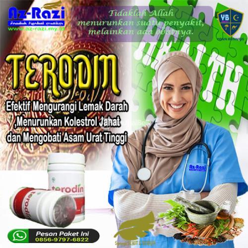 Penurun Lemak Darah & Kolesterol