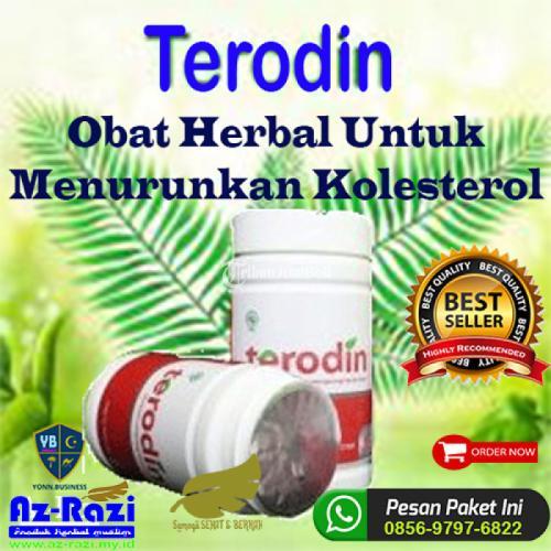 Penurun Lemak Darah & Kolesterol