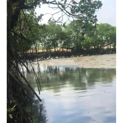 Dijual Tanah Tambak Bandeng Aktif Benowo - Surabaya