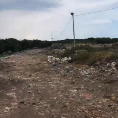 Dijual Tanah Tambak Bandeng Aktif Benowo - Surabaya