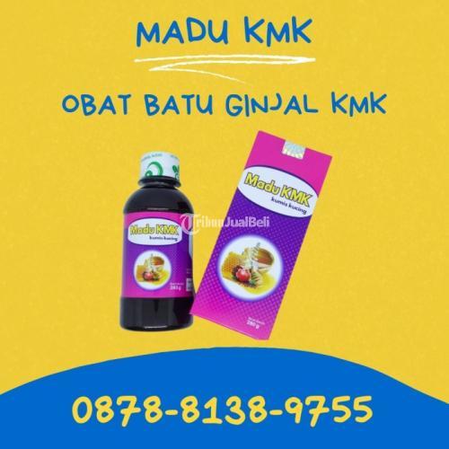 TERBUKTI, 0878.8138.9755 Obat Herbal Batu Ginjal Kumis Kucing