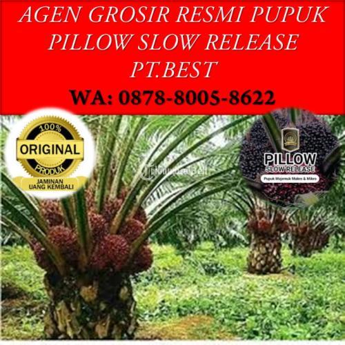 WA 0878-8005-8622, Agen Grosir Pupuk Slow Release Terbaik Pekanbaru