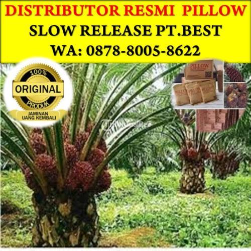 WA 0878-8005-8622, Agen Grosir Pupuk Slow Release Terbaik Pekanbaru