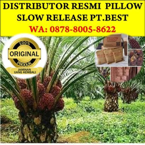 WA 0878-8005-8622, Agen Grosir Pupuk Slow Release Terbaik Pekanbaru