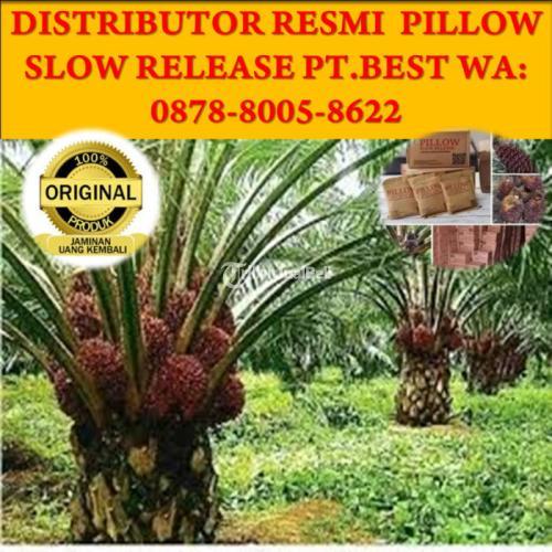 WA 0878-8005-8622, Agen Grosir Pupuk Slow Release Terbaik Pekanbaru