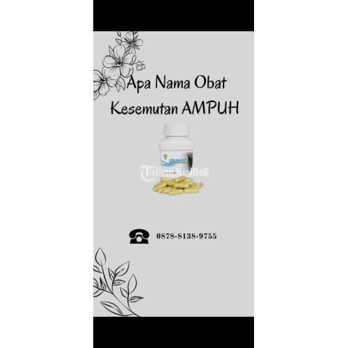 Gramafit Obat Kesemutan Ampuh Terdaftar BPOM - Bekasi