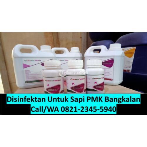 Catedest Iodine Obat Sapi Luka Kaki Pengiriman Seluruh Indonesia - Bangkalan