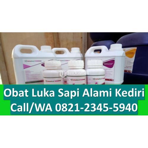 Desinfektan Kandang Sapi Banyuwangi