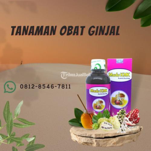 Ginjal Tidak Dapat Mengeliminasi Obat Yang Bersifat Madu KMK (0812-8546-7811)