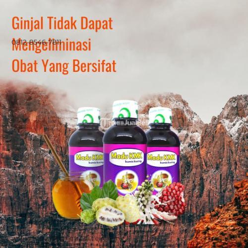 Harga Obat Batu Ginjal Di Apotik Madu KMK - Bekasi Kota