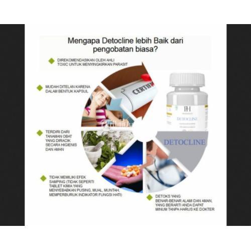 OBAT ANTI PARASIT DETOCLINE ASLI OBAT DETOCLINE jmggroup.store