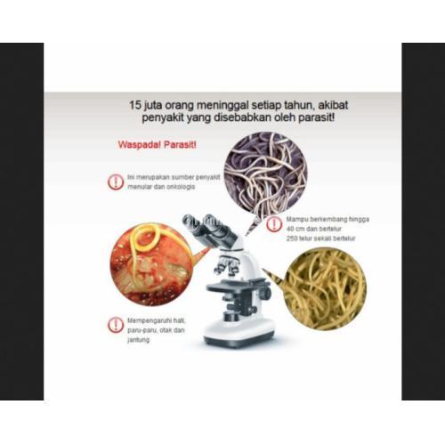 OBAT ANTI PARASIT DETOCLINE ASLI OBAT DETOCLINE jmggroup.store