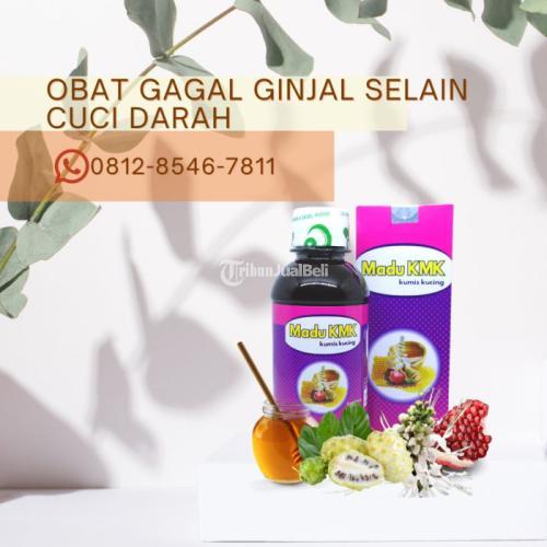 Obat Gagal Ginjal Selain Cuci Darah Madu KMK (0812-8546-7811)