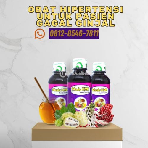 Obat Hipertensi Untuk Pasien Gagal Ginjal Madu KMK (0812-8546-7811)