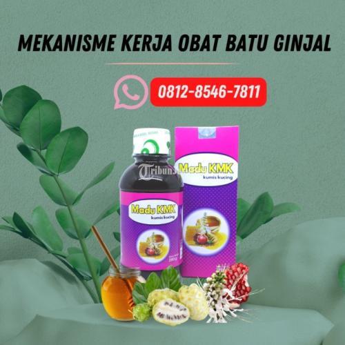 Mekanisme Kerja Obat Batu Ginjal Madu KMK (0812-8546-7811)