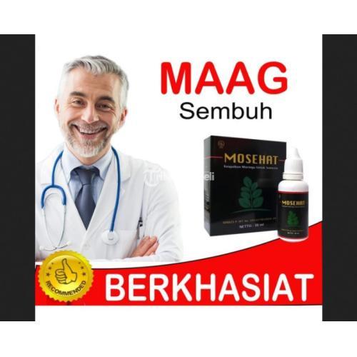 Terbaru Mosehat Herbal Jamu Tetes Obat Maag Tbk jmggroup.store