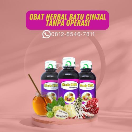 Obat Herbal Batu Ginjal Tanpa Operasi Madu KMK (0812-8546-7811)