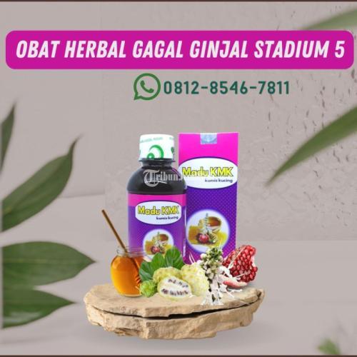Obat Herbal Gagal Ginjal Stadium 5 Madu KMK (0812-8546-7811)