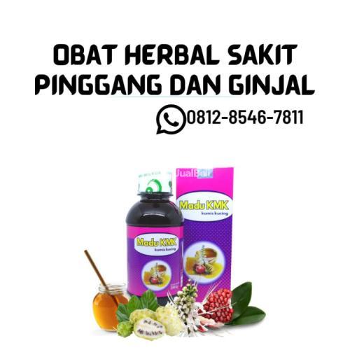 Obat Herbal Sakit Pinggang Dan Ginjal Madu KMK (0812-8546-7811)