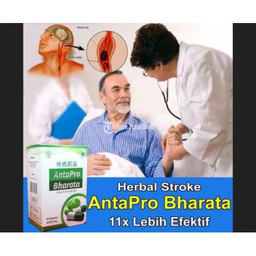 ANTAPRO Bharata Obat Herbal Stroke Ringan dan Berat Asli Original BPOM jmggroup.store