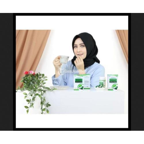 ANTAPRO Bharata Obat Herbal Stroke Ringan dan Berat Asli Original BPOM jmggroup.store
