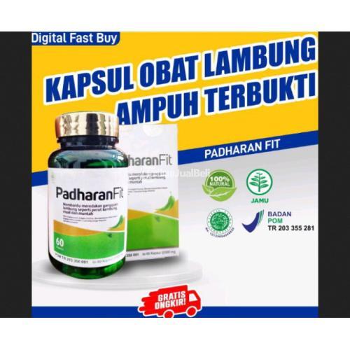 Padharanfit obat asam lambung mengatasi penyakit lambung mag padharan fit jmggroup.store