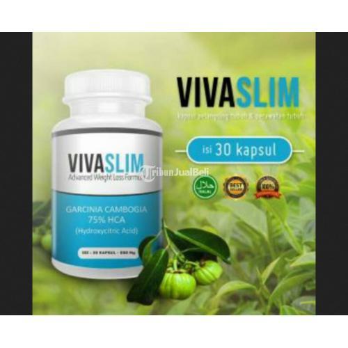 Obat Vivaslim Garcinia Cambogia Pelangsing Badan Dengan Cepat VIVASLIM jmggroup.store