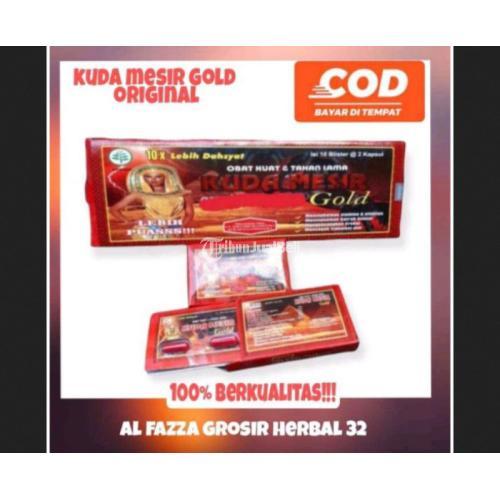 Kuda mesir gold original jmggroup.store