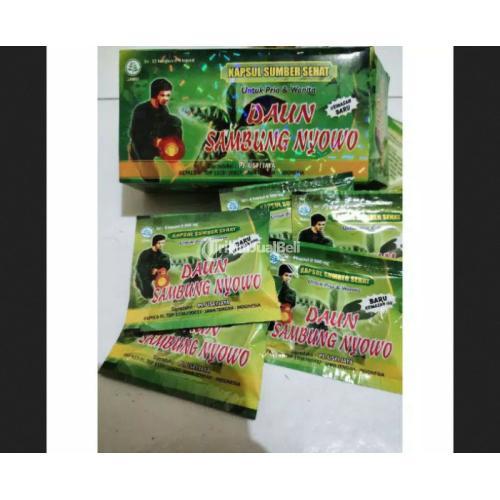 Herbal Asam Urat Kapsul Daun Sambung Nyowo  Original jmggroup.store