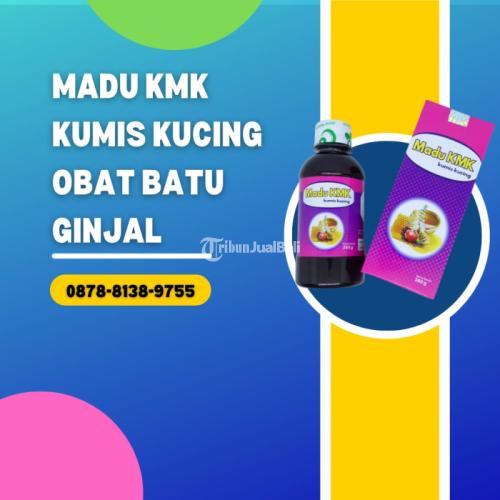 Obat Kandung Kencing Herbal BERGARANSI, WA 0878-8138-9755