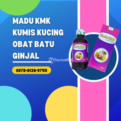 Obat Kandung Kencing Herbal BERGARANSI, WA 0878-8138-9755