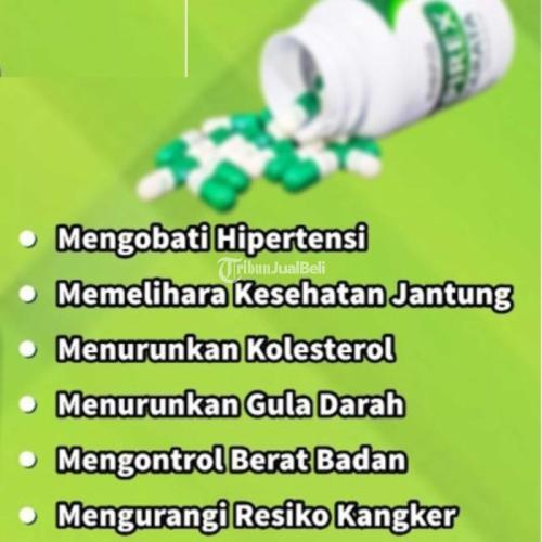 Obat Darah Tinggi Herbal Ampuh Apirex Bharata Di Jambi Tribun Jualbeli