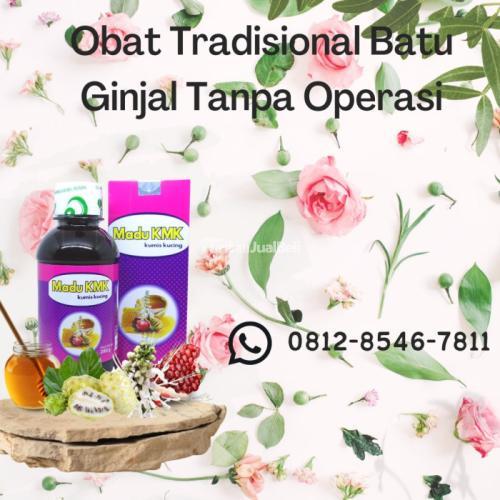 Obat Tradisional Batu Ginjal Tanpa Operasi Madu KMK (0812-8546-7811)