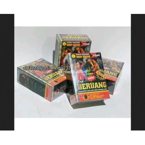 BERUANG HITAM SERBUK jmggroup.store