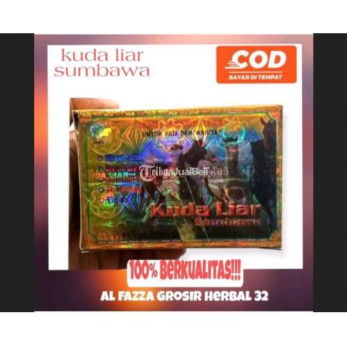 Kuda liar sumbawa kapsul asli jmggroup.store