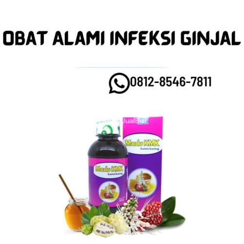 Obat Alami Infeksi Ginjal Madu KMK (0812-8546-7811)