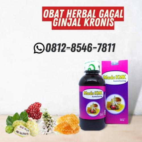 Obat Herbal Gagal Ginjal Kronis Madu KMK (0812-8546-7811)