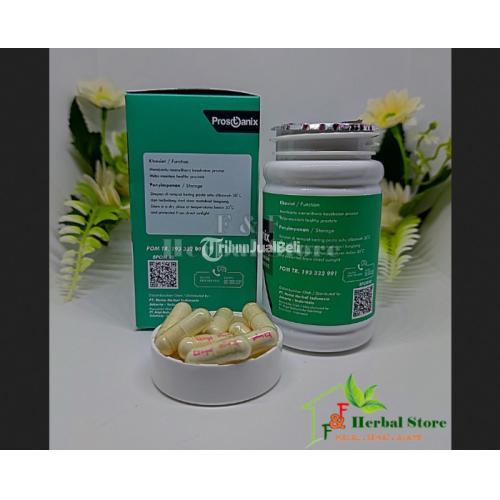 Prostanix Asli Obat Prostat Herbal Original Bergaransi Resmi BPOM jmggroup.store