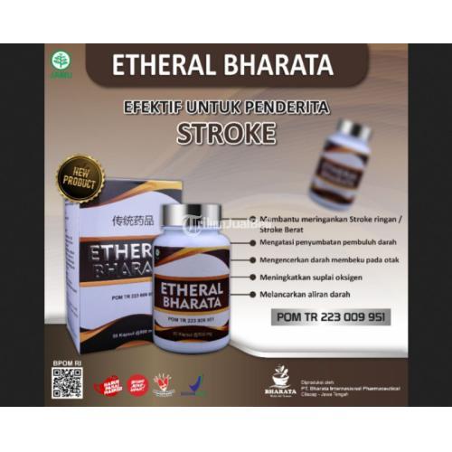 Etheral Bharata Obat Stroke Herbal Paling Ampuh Obat Stroke Berat jmggroup.store